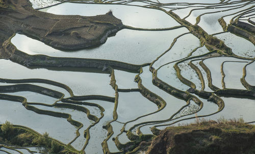 Yuanyang rice terrace, yunnan, china