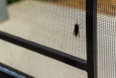 Full frame shot of window blinds