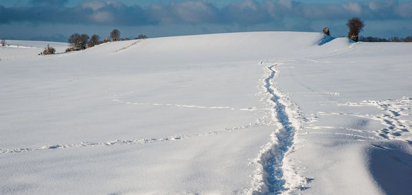 Person skiing on snow covered land