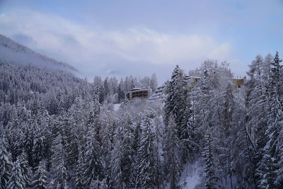 Snow covered land and trees against sky