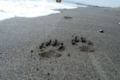 High angle view of footprints on beach