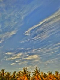 Low angle view of trees against cloudy sky