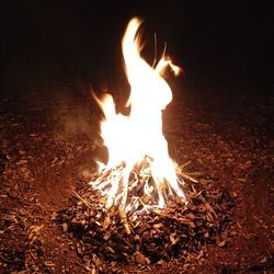 Close-up of bonfire at night