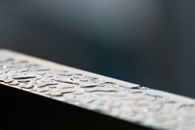 close-up