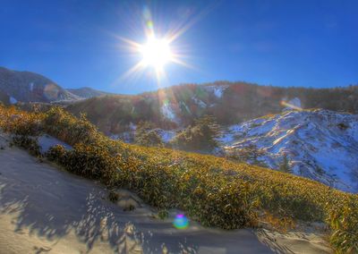 Sun shining over landscape