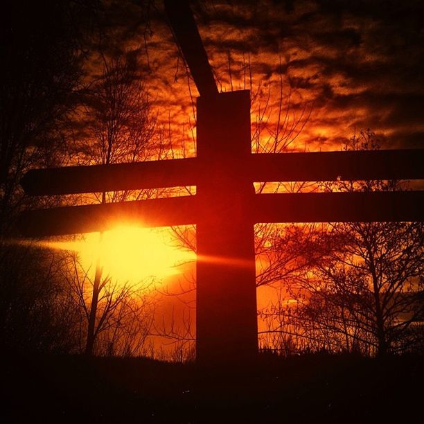 sunset, silhouette, orange color, sun, sky, tree, cloud - sky, bare tree, built structure, architecture, scenics, tranquility, beauty in nature, nature, sunlight, tranquil scene, no people, dramatic sky, idyllic, back lit