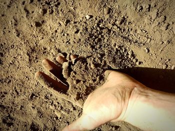 Close-up of woman hand