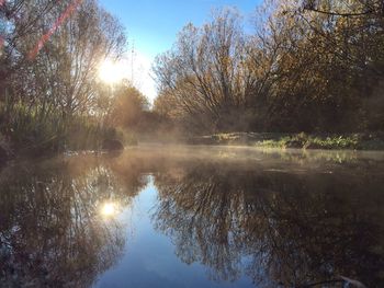 Sun shining over lake