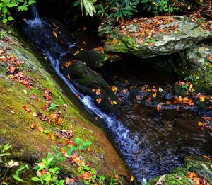 Stream flowing through rocks