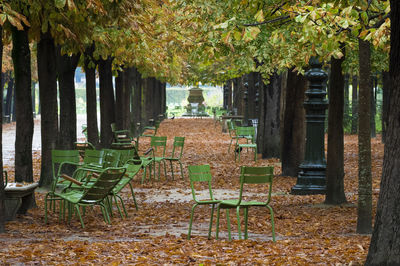 Empty chairs and tables in park during autumn