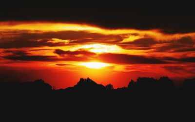 Scenic view of silhouette trees against orange sky