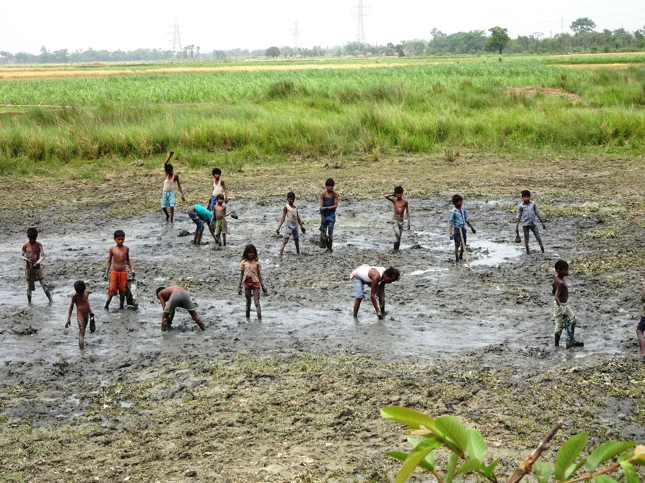 CATCHING FISH IN MUD