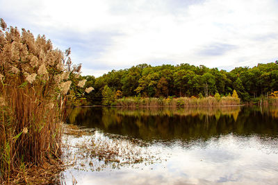 Scenic view of lake by trees against sky