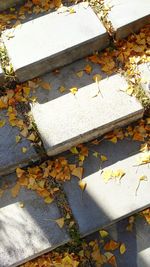 High angle view of wet street