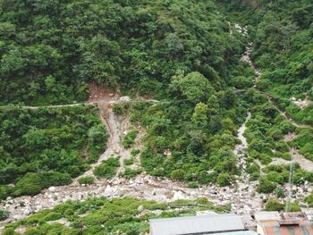 High angle view of waterfall in forest