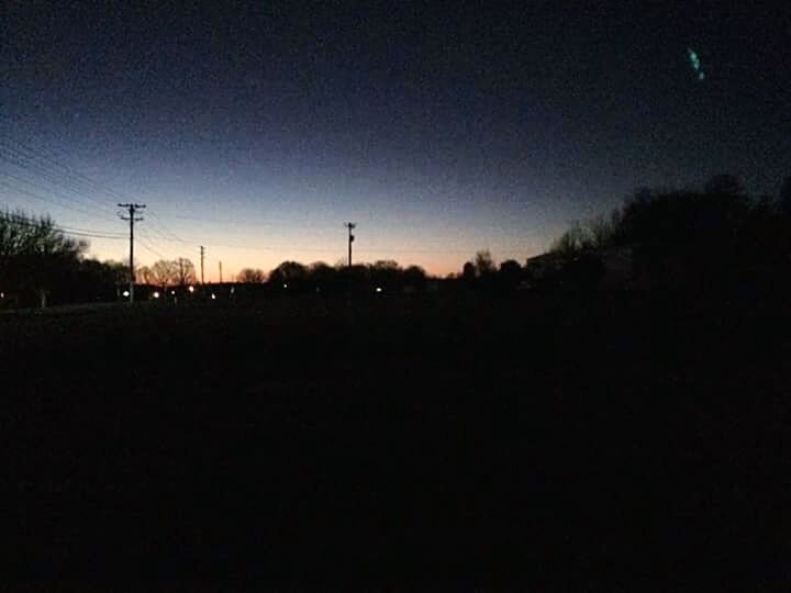 VIEW OF TREES AT SUNSET