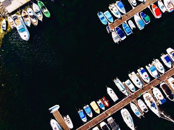 Aerial view of boats moored at harbor