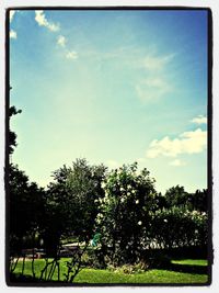 Trees on field against cloudy sky