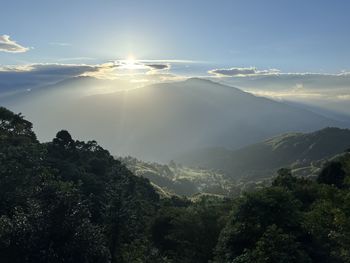 environment