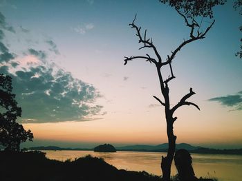 Silhouette bare tree by sea against sky during sunset