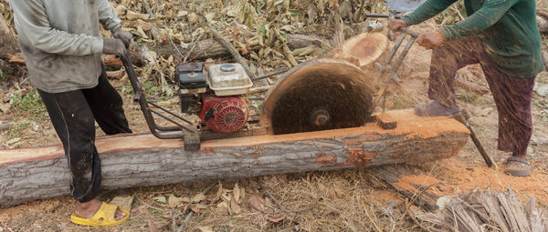 Low section of man working on field