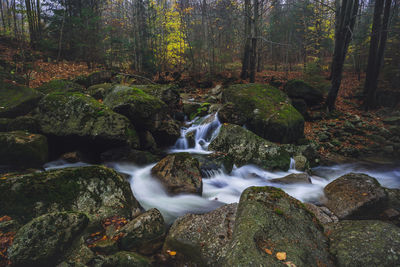 Stream flowing through rocks in forest