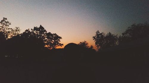 Silhouette trees against clear sky during sunset