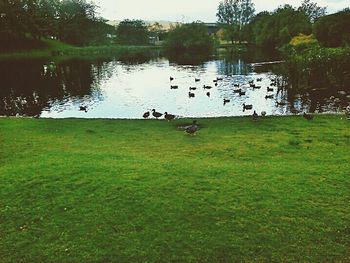 Tranquil scene of lake