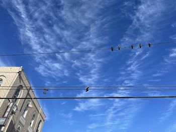 Looking up at cables 