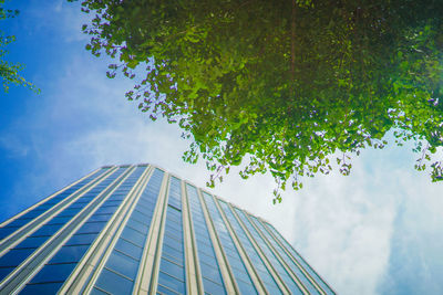 Low angle view of trees against sky