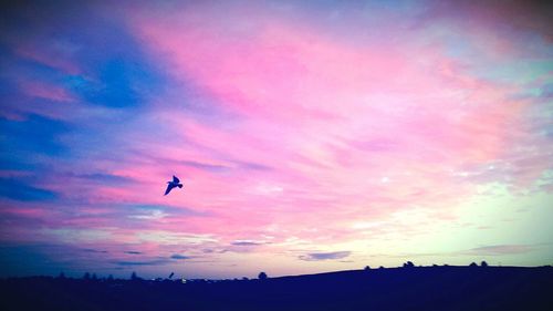 Low angle view of birds flying against dramatic sky