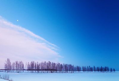 Scenic view of snow covered field against clear blue sky