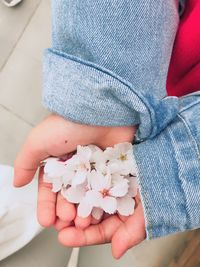 Close-up of person holding white flowers