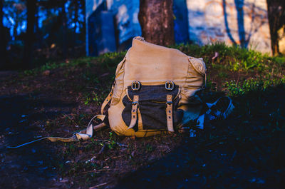 Close-up of backpack in forest