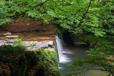 Scenic view of waterfall