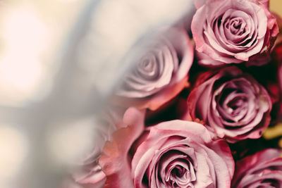 Close-up of rose bouquet