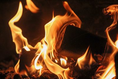 Close-up of book burning in bonfire at night