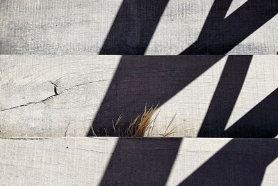 High angle view of shadow on wall