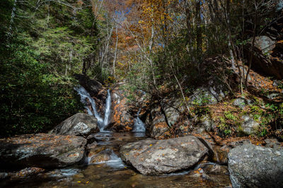 Stream flowing through rocks in forest