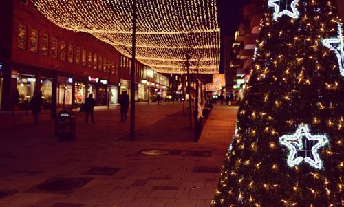 Illuminated christmas tree at night