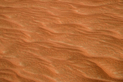 Full frame shot of hardwood floor