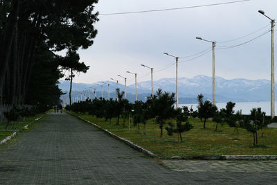 Road amidst plants and trees against sky