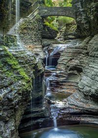 River flowing through forest