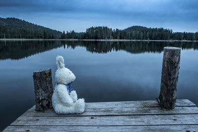 View of wooden pier on lake