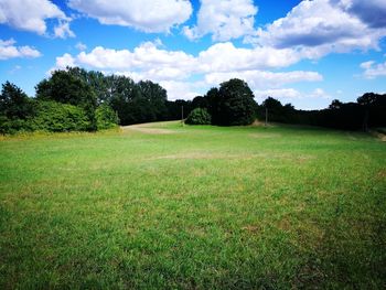 Scenic view of field against sky