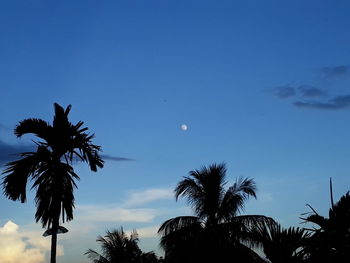 Low angle view of silhouette palm trees against blue sky