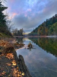 Scenic view of lake in forest against sky