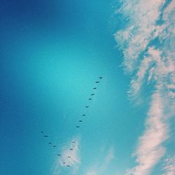 Low angle view of bird flying over blue sky