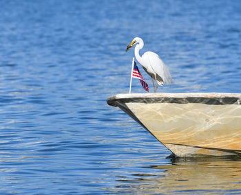 Bird perching on lake against sky