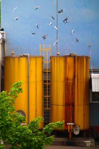 Yellow blue sky over factory